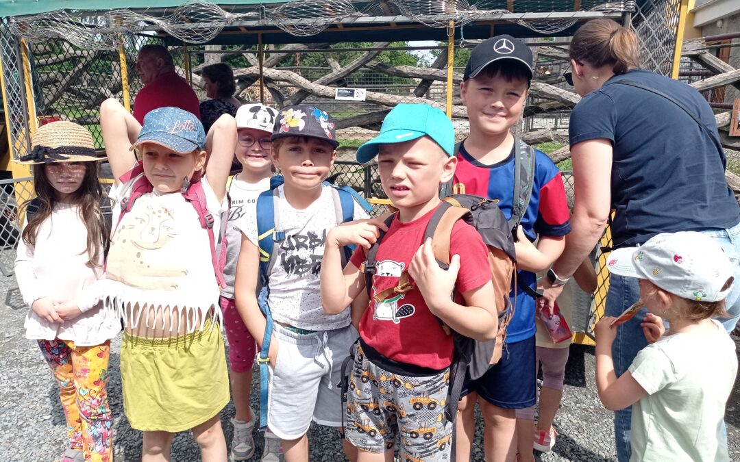 ZOO s jízdou vláčkem