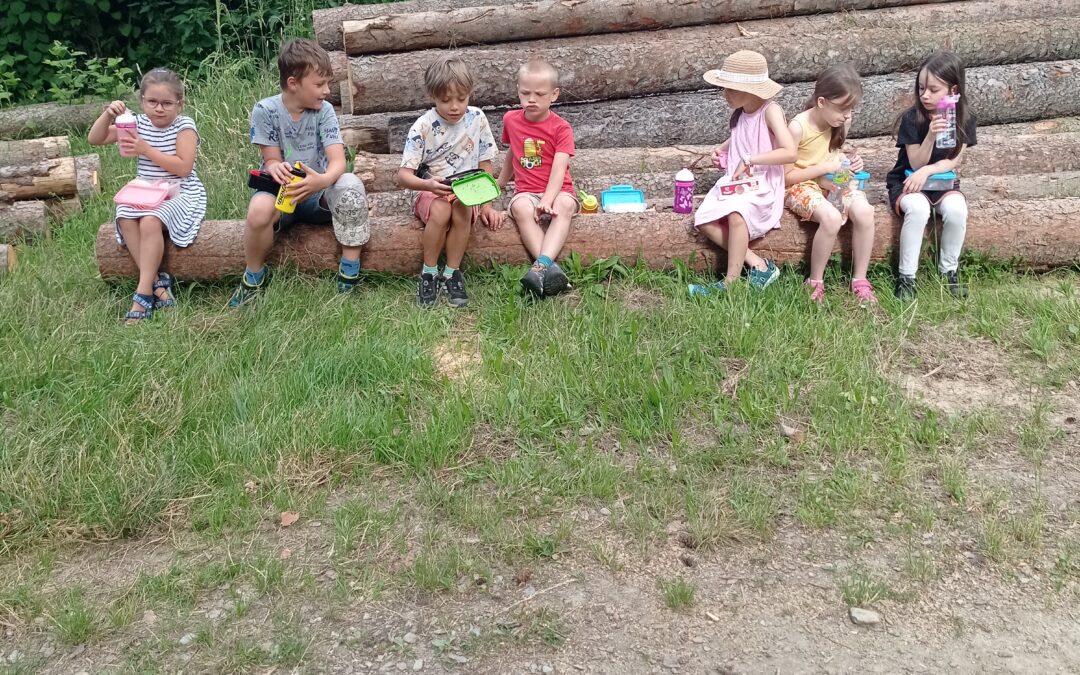 Domečky pro skřítky a sváča